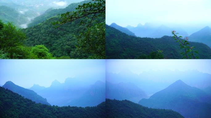 雨后山林实拍诗意唯美