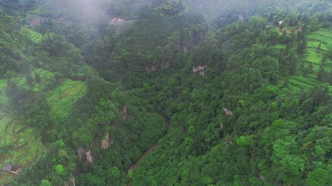 4K云贵山谷小溪峡谷森林贵州喀斯特山水