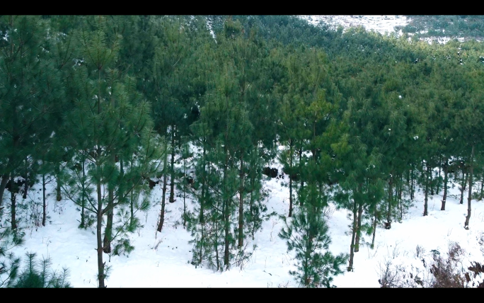 云南昭通巧家雪山