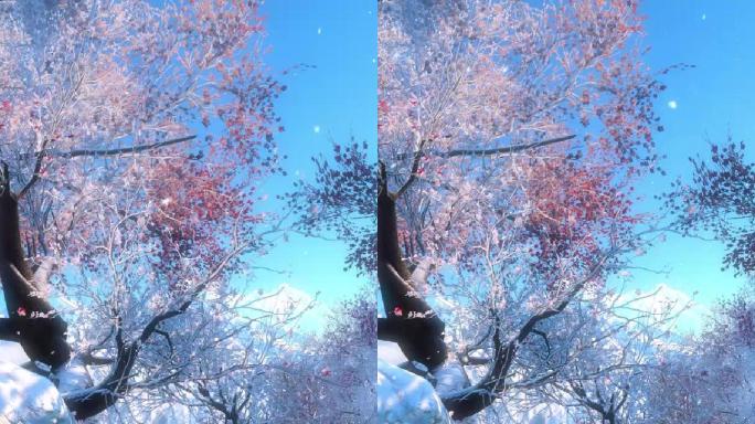 唯美风景系列【竖视频】-梅花树