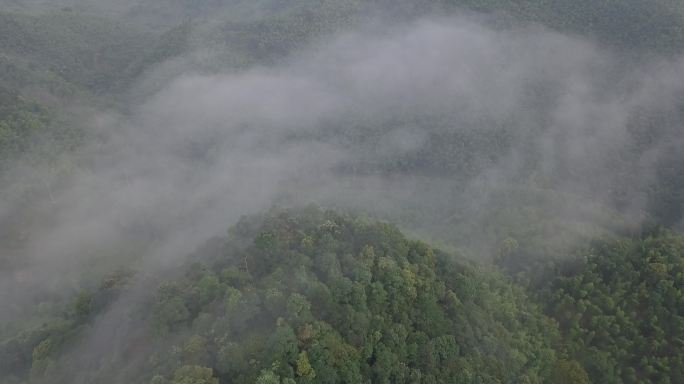 山林-清晨-航拍