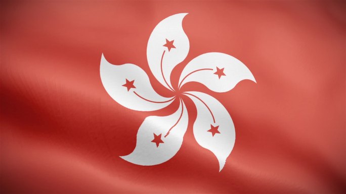 【无缝循环】香港区旗