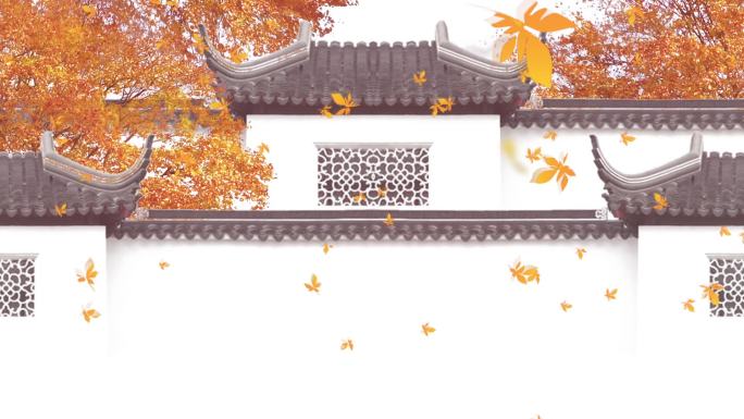 中国风庭院秋天落叶背景