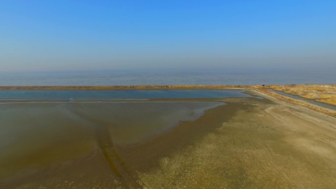 湿地滩涂盐场养虾池鸟类栖息地