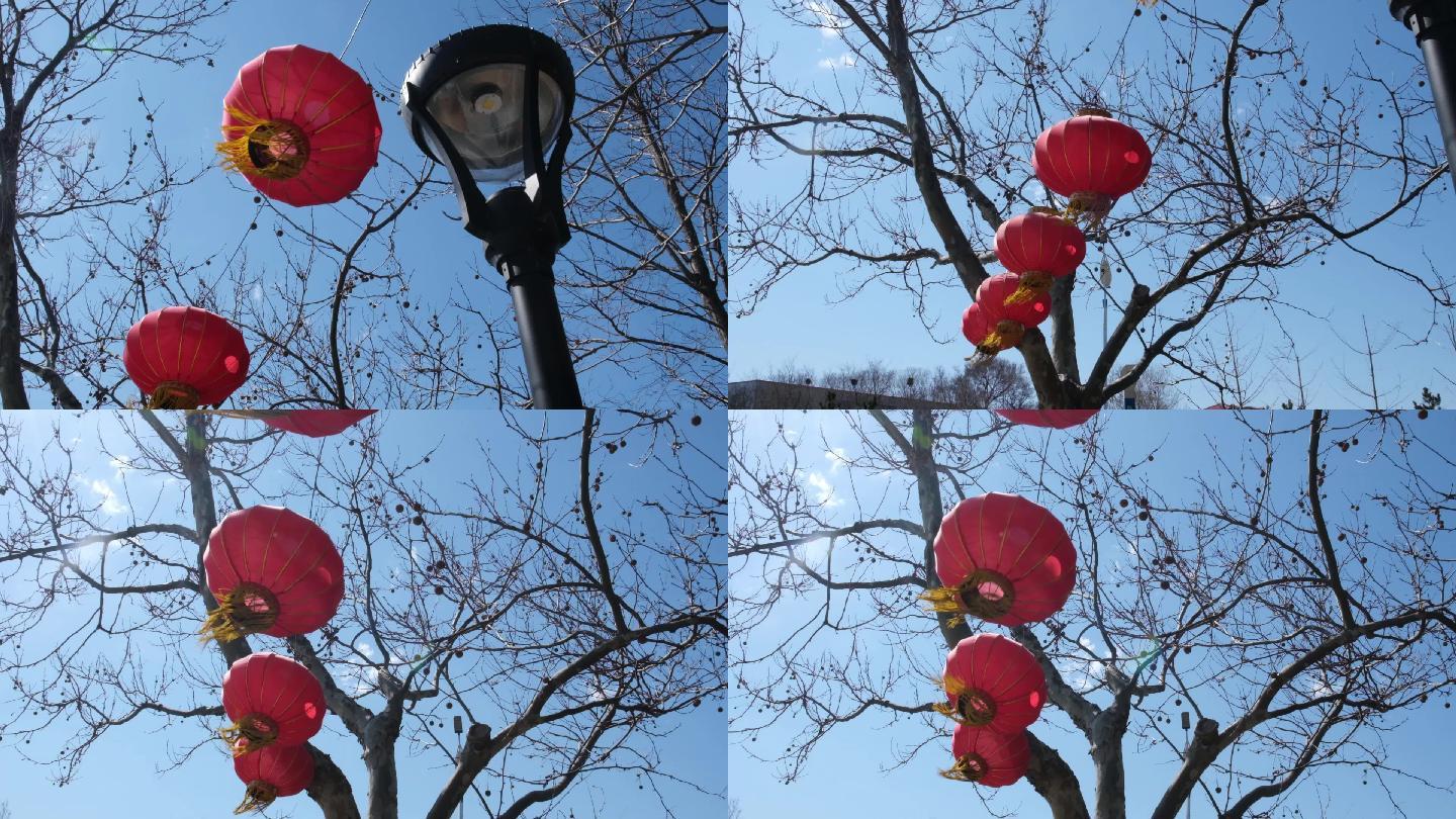 悬挂在树上随风摇动的红灯笼