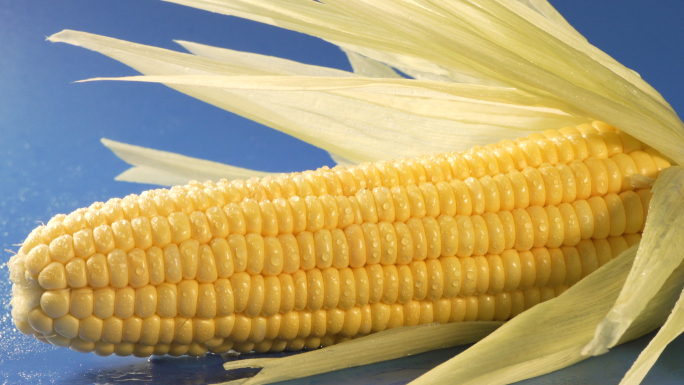 玉米-苞谷-玉米特写-杂粮食材-微距拍摄