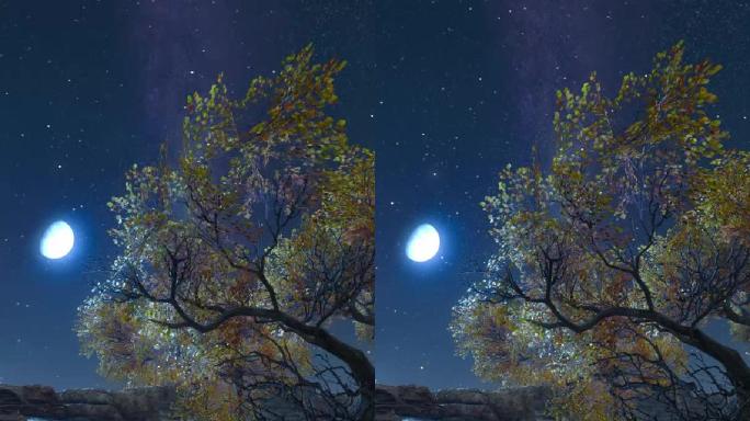 唯美风景系列【竖视频】-树下月光
