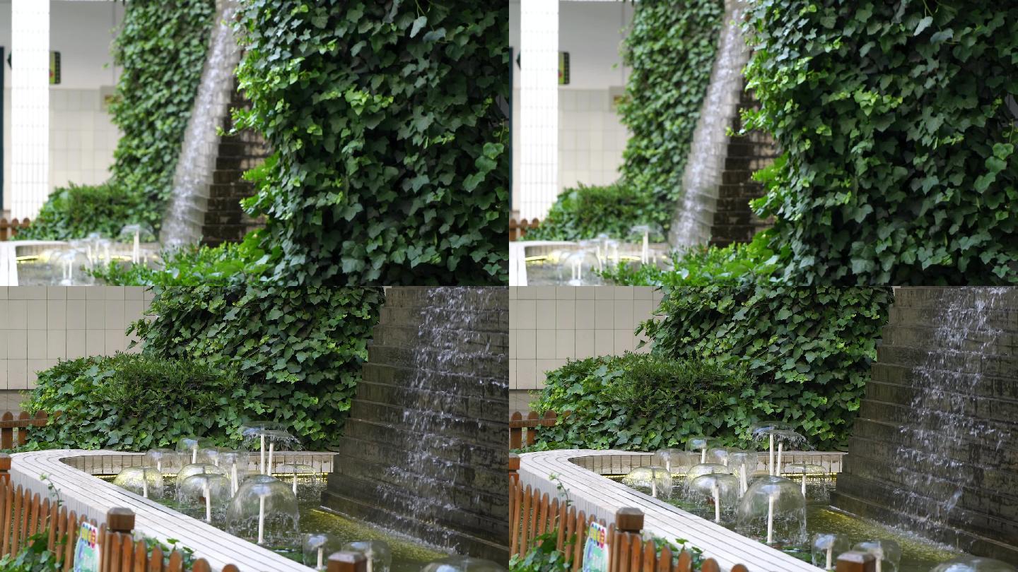 庭院绿化-人造景观-爬墙虎
