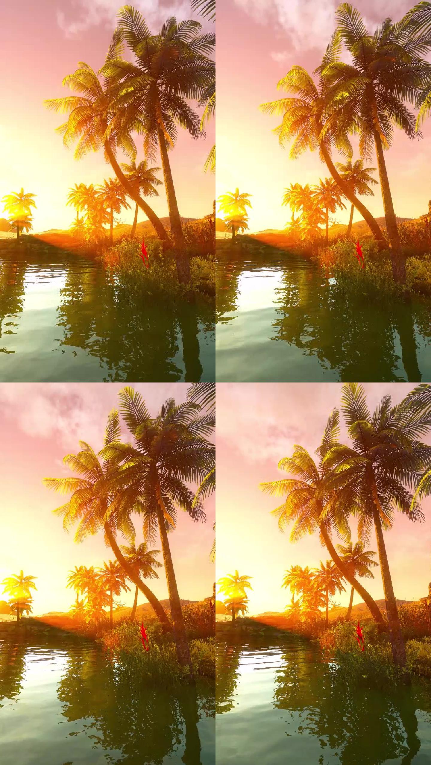 唯美风景系列【竖视频】-椰子树
