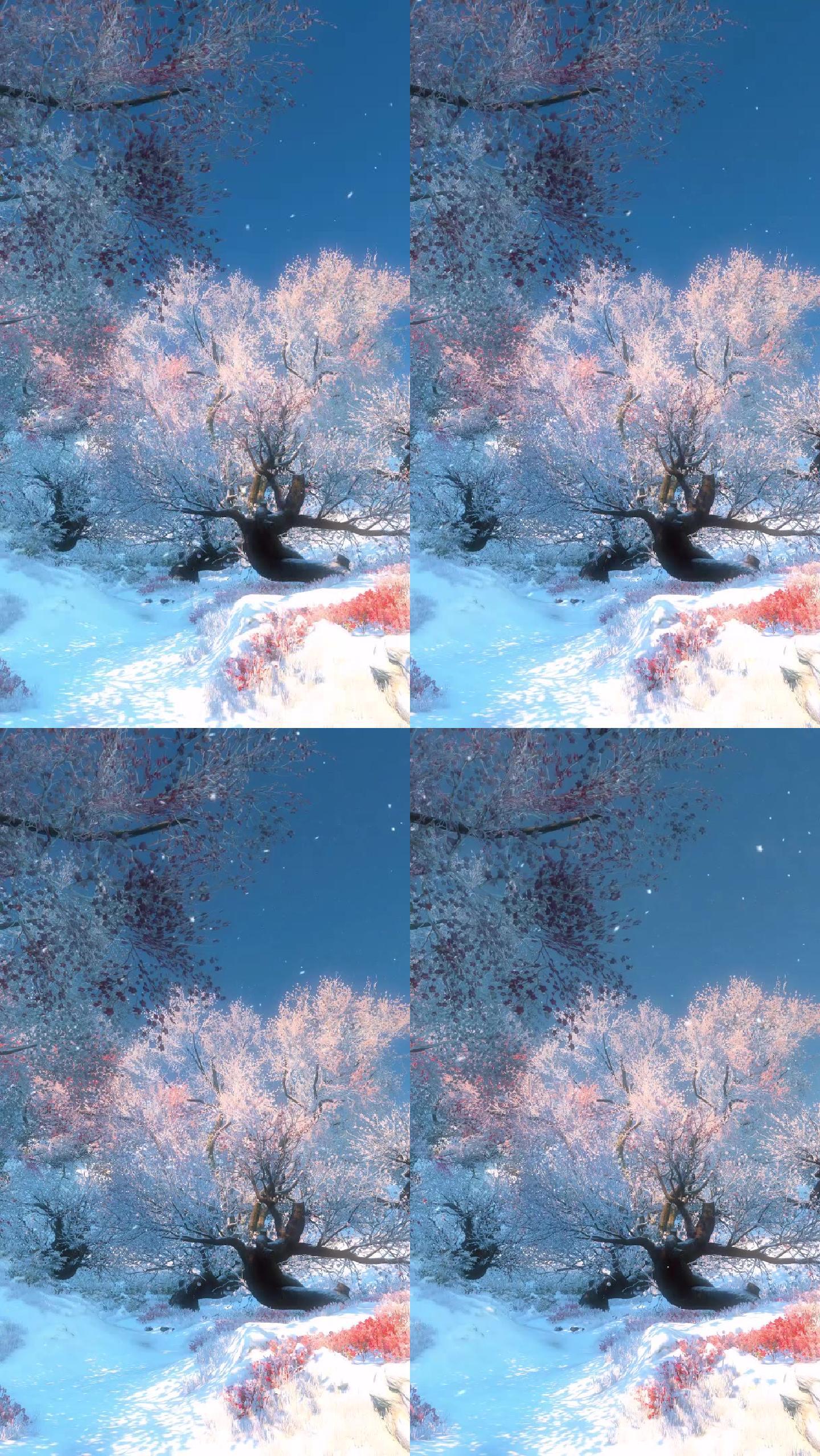 唯美风景限时免费【竖视频】-梅花树