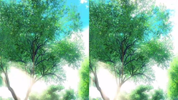 唯美风景系列【竖视频】-阳光下的绿树