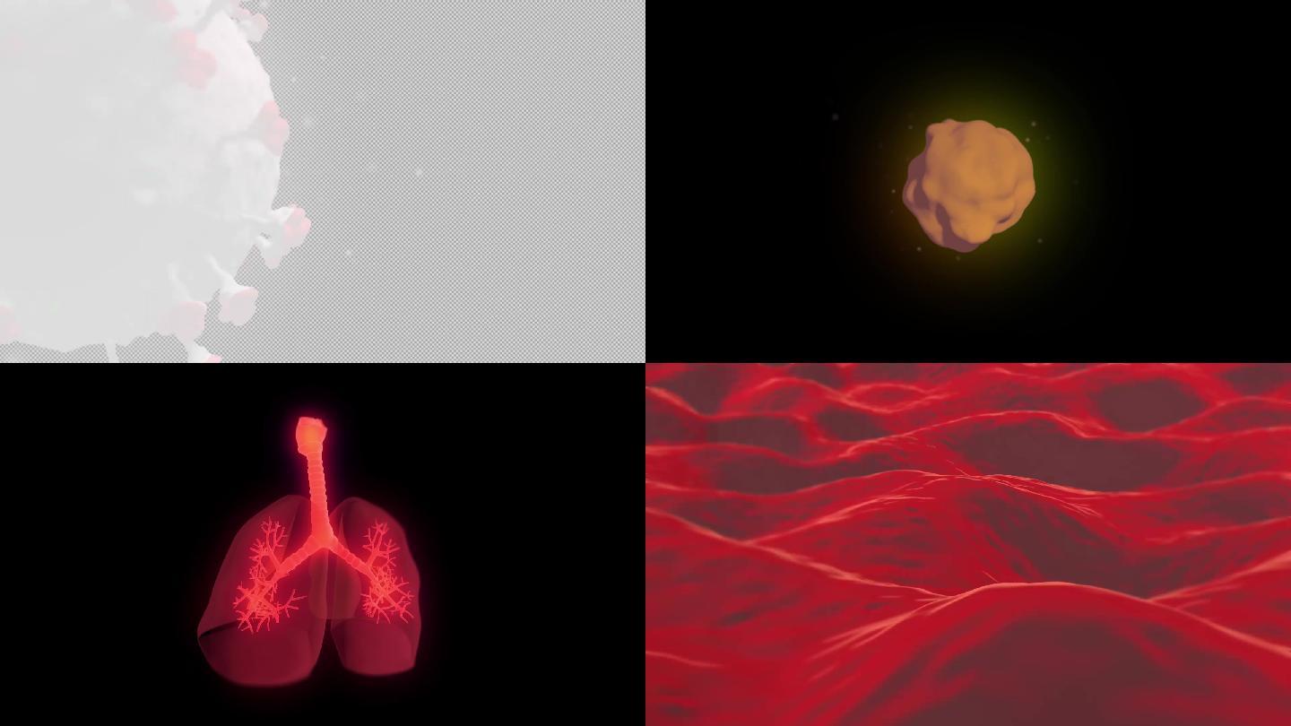 新型冠状病毒3D动画28款！含透明通道