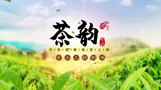 茶叶片头字幕