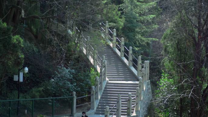 旅游景区游人楼梯台阶上山爬山