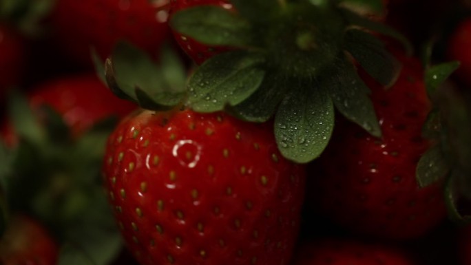 沾满水珠的鲜草莓特写