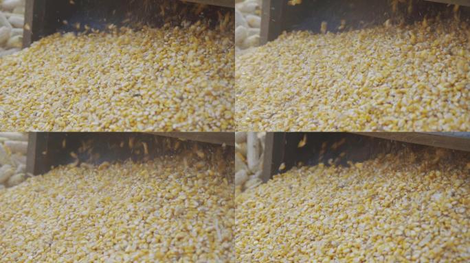 【原创】玉米脱粒慢镜头