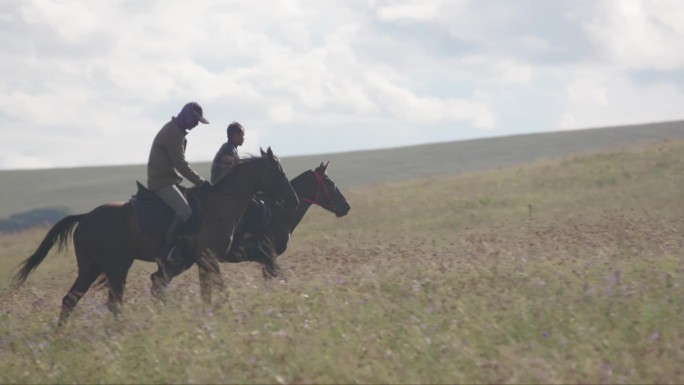 草原上的马匹牧民骑马