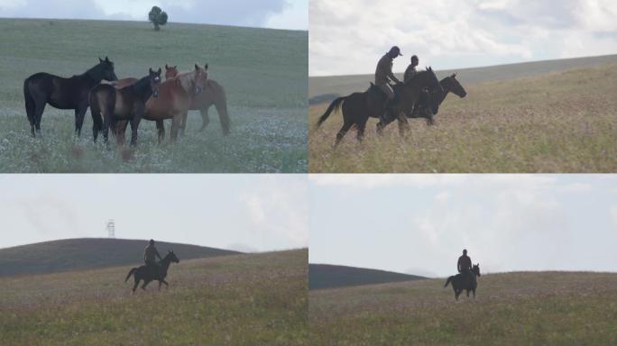 草原上的马匹牧民骑马