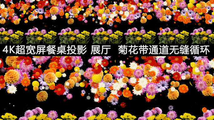 4k菊花带通道无缝循环