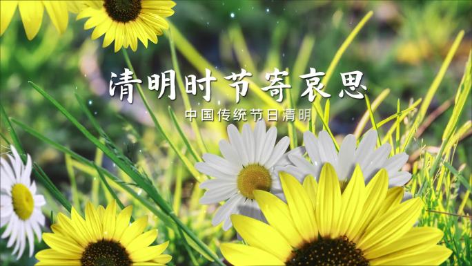 清明节祭祖公益AE片头