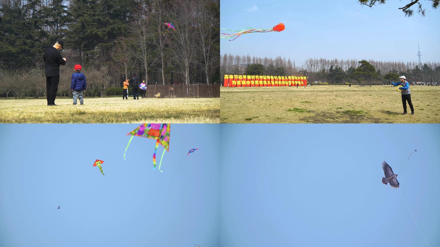 4k春天公园放风筝的人们视频素材