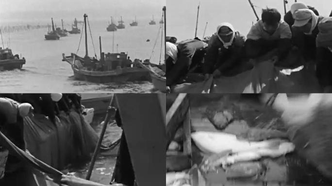 50年代捕鱼渔获
