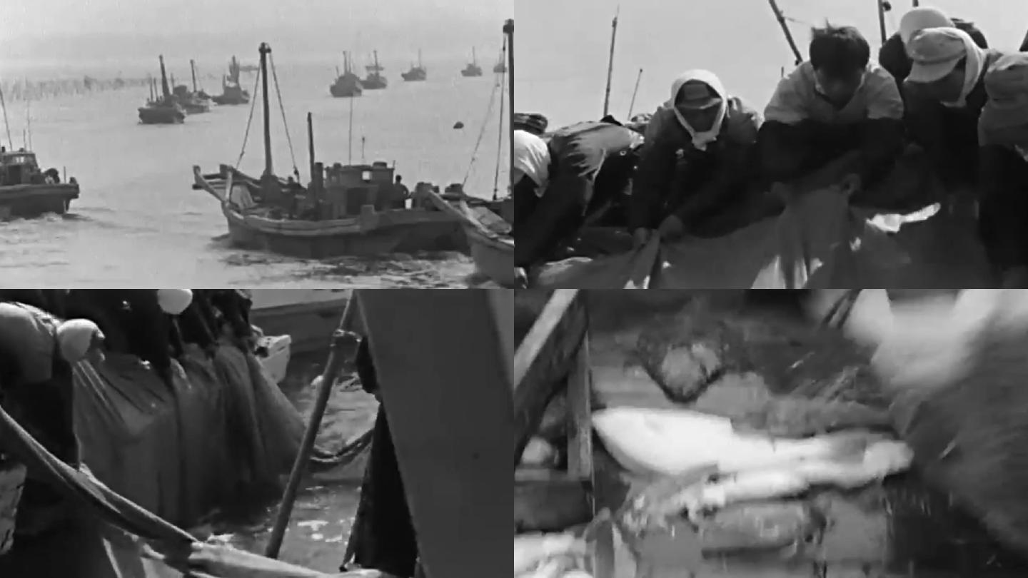 50年代捕鱼渔获