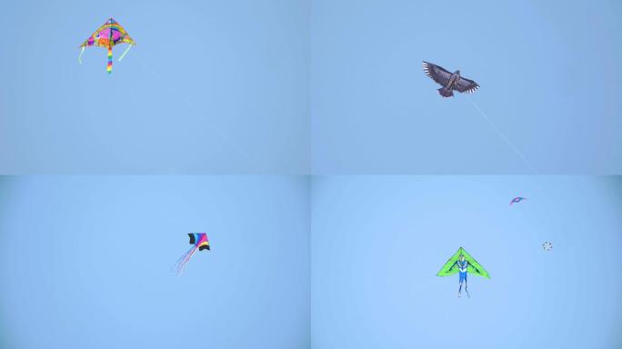 4k高清12组蓝天白云下的各式各样的风筝