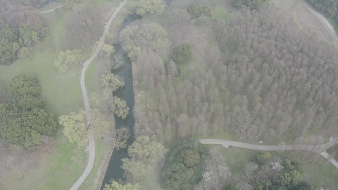 共青森林公园DLog—4K航拍