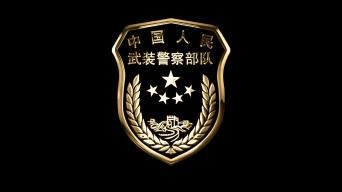 武警臂章alpha透明通道_1920x1080_高清视频素材下载(编号:4441246)