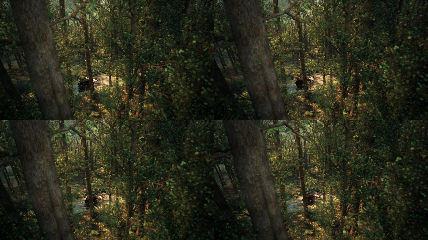 三维马车在森林大自然意境写实