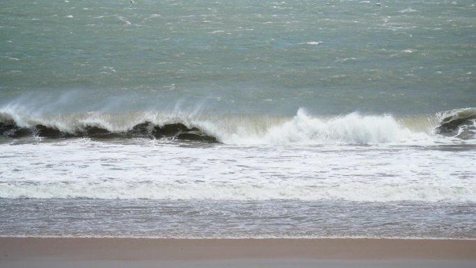 晋江台风海浪树木摇晃升格