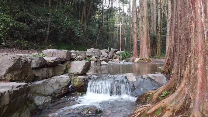 九溪溪水小溪流淌水杉