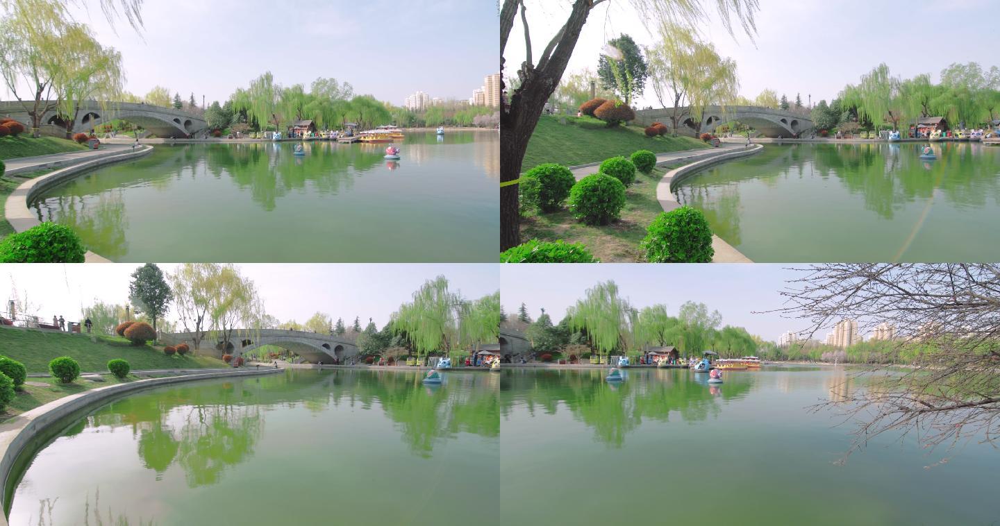 垂柳西安公园春季季节游园清