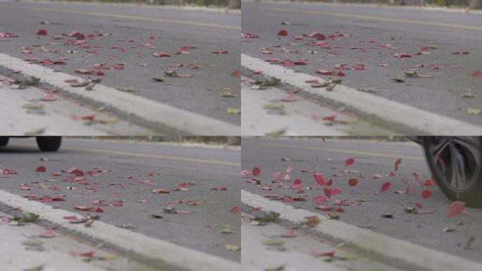 汽车路过地上飞起的枫叶
