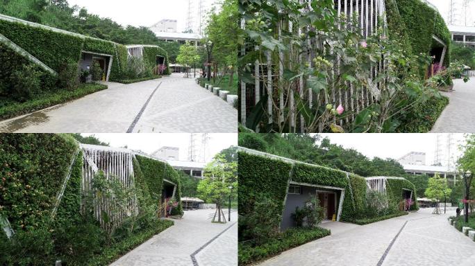 甘坑小镇绿化美景