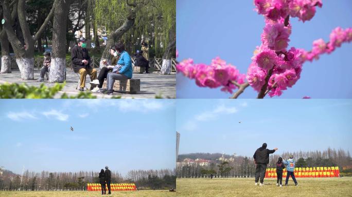 春天戴口罩放风筝赏樱花踏青的人群