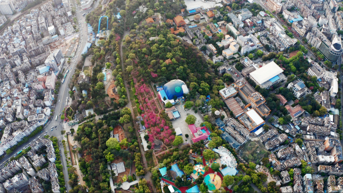 【4K】航拍昆明圆通山樱花，航拍翠湖