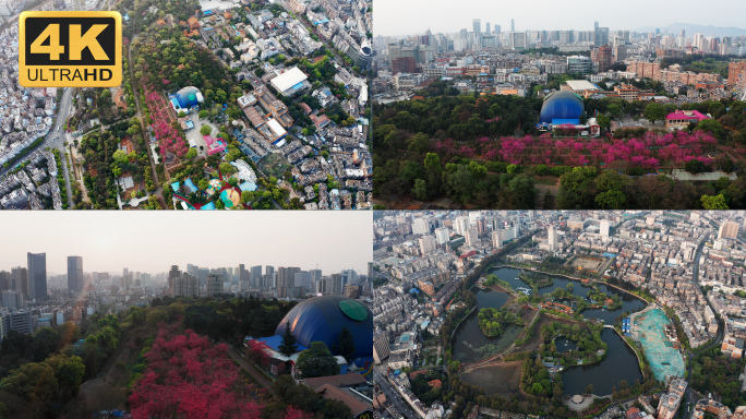 【4K】航拍昆明圆通山樱花，航拍翠湖