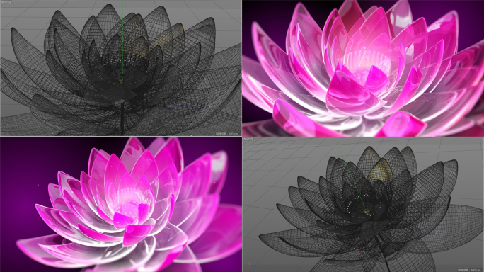 【C4D】c4d荷莲花开花动画模型带材质