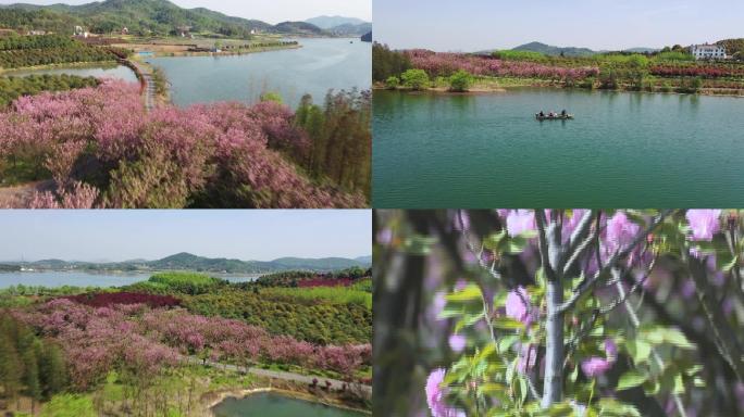 航拍碧水青山花开满园