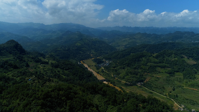 十万大山原始森林山河绿水青山生态发展