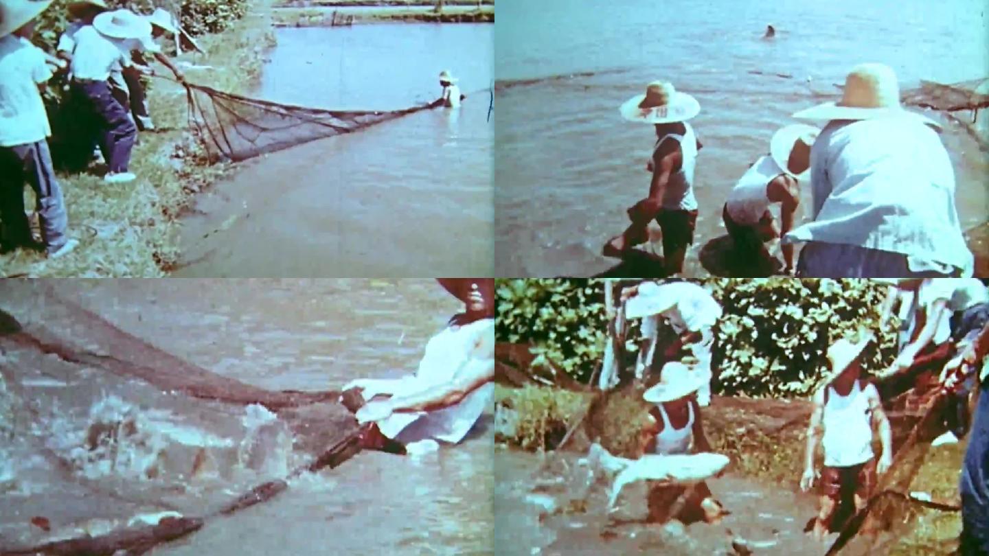 60年代中国鱼米之乡