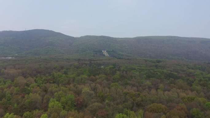 4K-log原素材-南京钟山风景区航拍