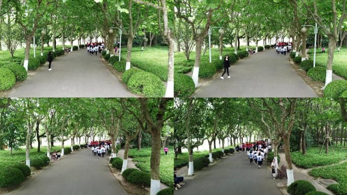 上海世纪公园航拍行人4K素材
