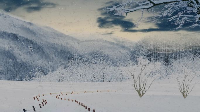 野外雪景