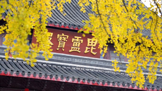 南京栖霞山栖霞山栖霞寺寺庙银杏树