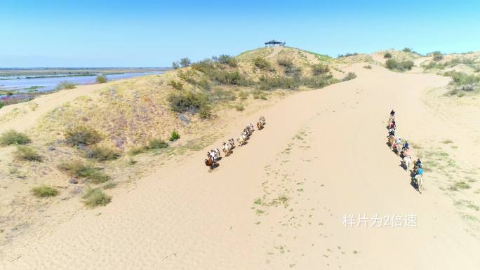 沙漠、游客、驼队