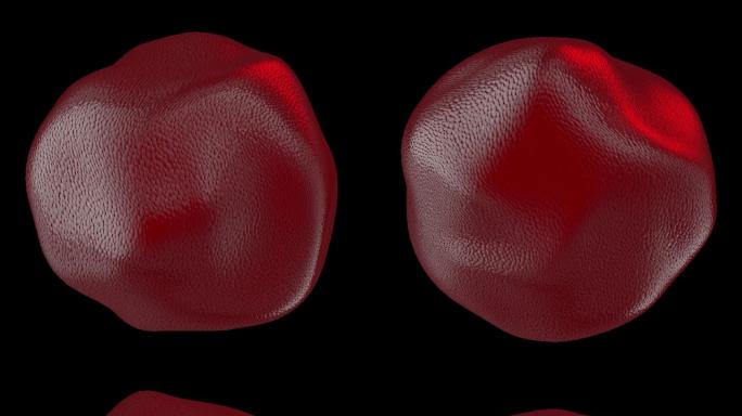 血红细胞6