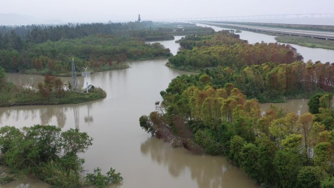 玉环璇门湾湿地航拍直飞